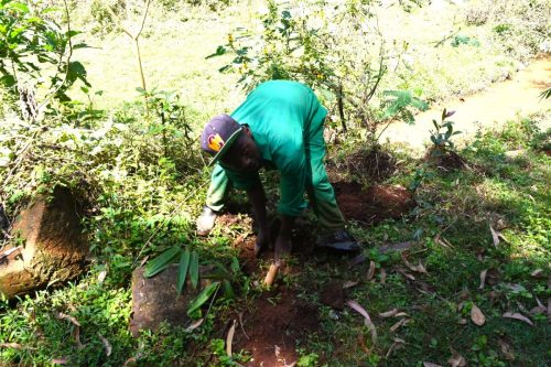 WhatsApp Image 2025-10-10 at 15.36.59