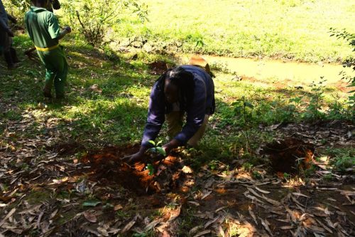 WhatsApp Image 2025-10-10 at 15.37.01