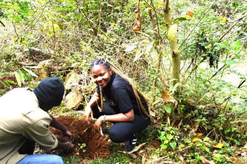 WhatsApp Image 2025-10-10 at 15.37.20