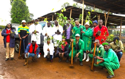 WhatsApp Image 2025-10-10 at 15.37.48