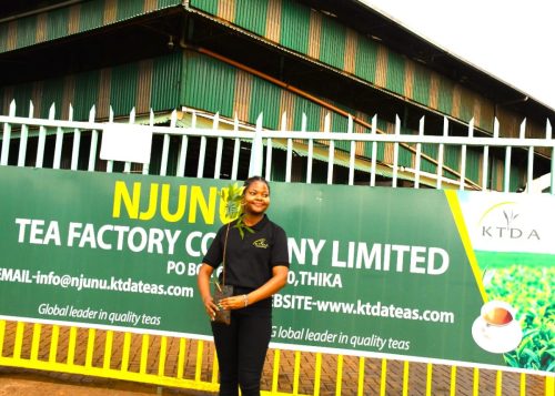 WhatsApp Image 2025-10-10 at 15.37.57 (1)