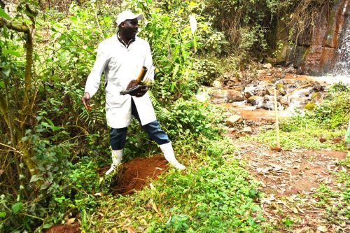 WhatsApp Image 2025-10-10 at 15.38.01