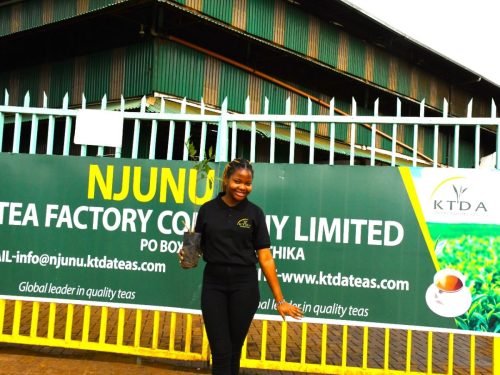 WhatsApp Image 2025-10-10 at 15.38.03 (1)