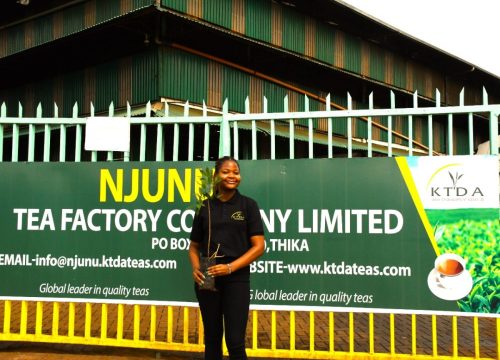 WhatsApp Image 2025-10-10 at 15.38.07