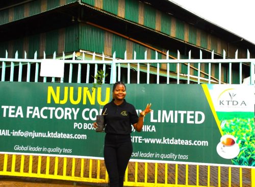 WhatsApp Image 2025-10-10 at 15.38.09