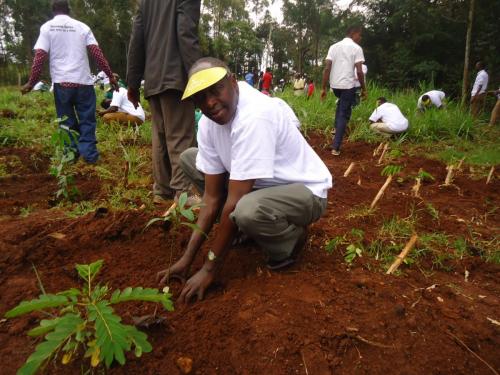 Tirgaga tree planting exercise in region 5