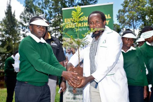 Mungania Tea Factory - Tree planting and water tank donation