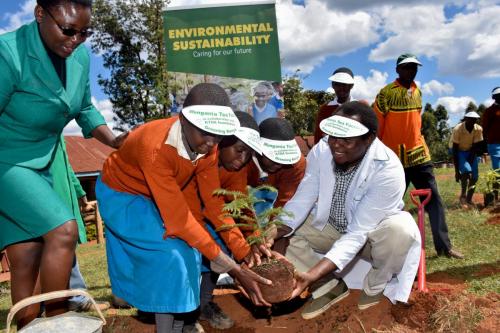 Mungania Tea Factory - Tree planting and water tank donation
