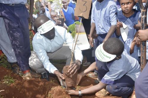 A tree planting exercise organized by Theta Tea Factory in conjunction with KTDA Foundation
