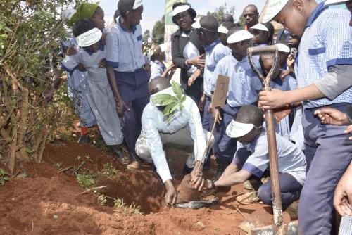 A tree planting exercise organized by Theta Tea Factory in conjunction with KTDA Foundation